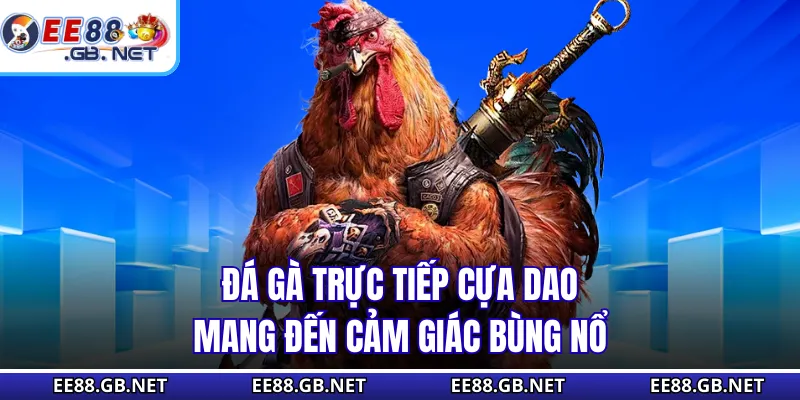 Đá Gà Trực Tiếp Cựa Dao - Hơn 200 Trận Đấu Diễn Ra Mỗi Tuần 1 Đá gà trực tiếp cựa dao mang đến cảm giác bùng nổ
