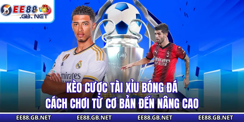 Kèo Cược Tài Xỉu Bóng Đá - Cách Chơi Từ Cơ Bản Đến Nâng Cao