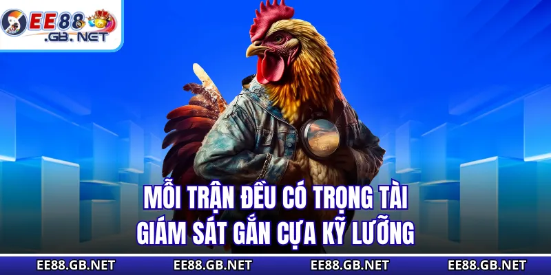 Đá Gà Trực Tiếp Cựa Dao - Hơn 200 Trận Đấu Diễn Ra Mỗi Tuần 2 Mỗi trận đều có trọng tài giám sát gắn cựa kỹ lưỡng