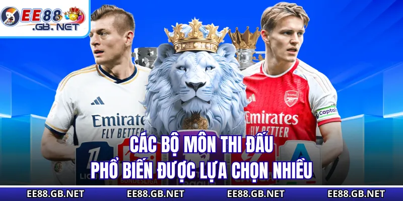 Cá Cược Thể Thao EE88 - Sân Chơi Trực Tuyến Đa Dạng Uy Tín 2 Các bộ môn thi đấu phổ biến được lựa chọn nhiều